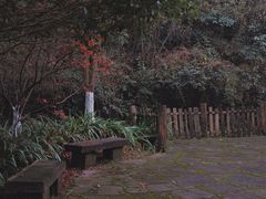 -常德桃花源景区