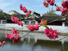 -水绘园