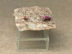 -甘肃地质博物馆