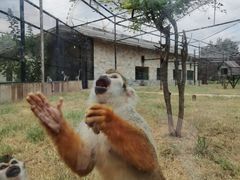 -石家庄市动物园