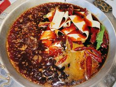 -大龙燚火锅(科华店)