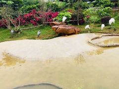 -长廊欢乐园
