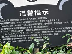 -中国大熊猫保护研究中心雅安碧峰峡基地