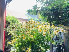 -后海16号·北京私房菜