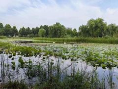 -北龙湖湿地公园