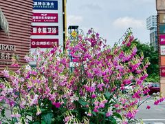 -苏宁广场·城市奥特莱斯(天府立交店)