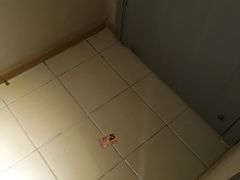 -全季酒店(北京东直门店)