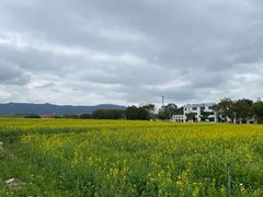 -光明小镇欢乐田园