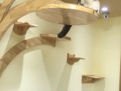 -猫和宫(六道口店)