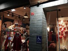 -一棵树(雨儿胡同)