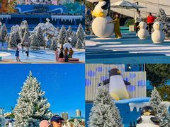 -汕头中海黄金海岸水上乐园