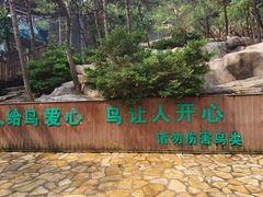 -燕塞湖鸟语林景区