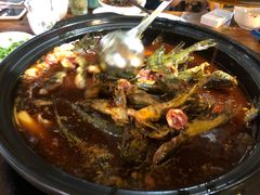 -金海椒罐罐鲢鱼(东方桂苑店)