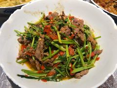 -壹盏灯(惠农店)