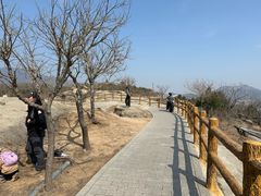 -白水寺森林公园