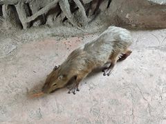 -长鹿旅游休博园