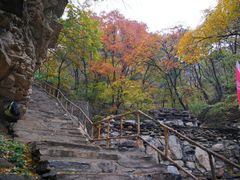 -北京上方山国家森林公园