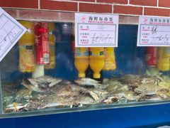 水产区-海帮主·蒸汽海鲜青岛菜(栈桥火车站店)