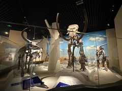 -国家自然博物馆