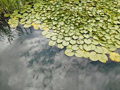 -苏州太湖湖滨国家湿地公园