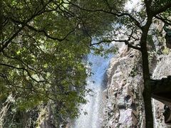 -姑婆山旅游区