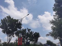 -奉天小馆·非遗东北菜(济南万象城店)