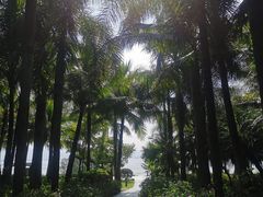 -深圳湾公园(南山区)