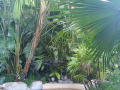 -稷泽·海丽宾雅温泉度假酒店