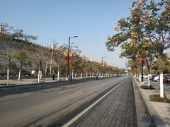 -李记五香豆沫