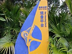 -演武大桥观景平台