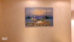 -薇兰专业脱毛连锁机构