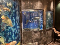 -陶陶居·雅园(凯华国际店)