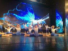 -美育儿童音乐舞蹈国际机构(浦东分校)