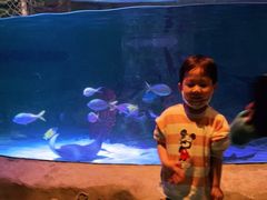 -沈阳海洋探索中心