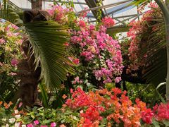 -呀路古热带植物园