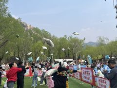 -沂蒙云瀑洞天景区