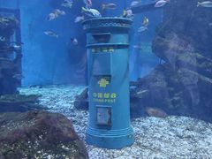 -海合安武汉极地海洋公园