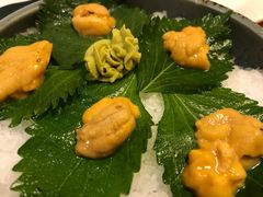 海胆刺身-王鼎精致料理铁板烧(世博源店)