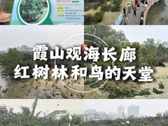 -霞山观海长廊