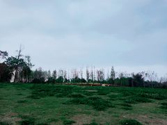 -两河城市森林公园