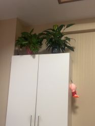 -Dr.林醫生产后修复·配方产康(南京江宁万达店)