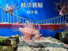 -太平洋海底世界