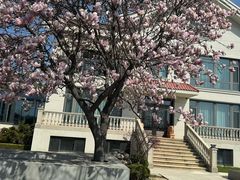 -黑石礁公园