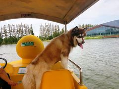 -上海长兴岛郊野公园