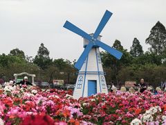 -盈香心动乐园