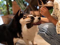 -自由生长植物工作室(深港花卉中心店)