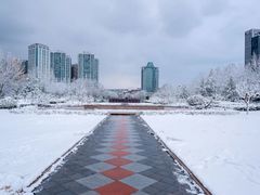 -山东大学(威海校区)