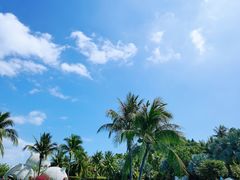 -三亚蜈支洲岛旅游区
