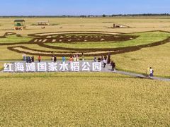 -红海滩国家风景廊道