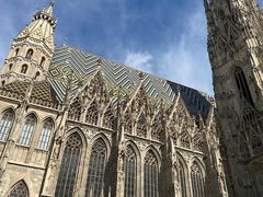 -斯蒂芬主教座堂(Stephansdom)